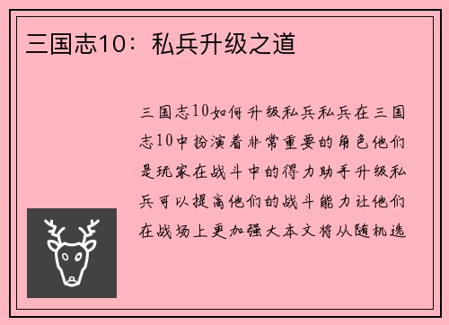 三国志10：私兵升级之道